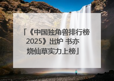 《中国独角兽排行榜2025》出炉 书亦烧仙草实力上榜