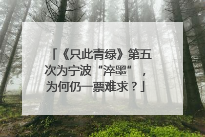 《只此青绿》第五次为宁波“淬墨”，为何仍一票难求？