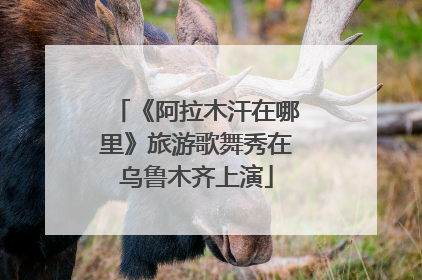 《阿拉木汗在哪里》旅游歌舞秀在乌鲁木齐上演