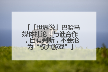 「世界说」巴哈马媒体社论：与谁合作，自有判断，不会沦为“权力游戏”