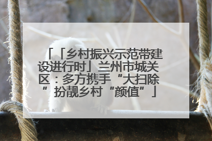 「乡村振兴示范带建设进行时」兰州市城关区：多方携手“大扫除”扮靓乡村“颜值”
