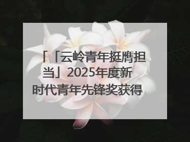 「云岭青年挺膺担当」2025年度新时代青年先锋奖获得者王敏奇——澜沧江上好渔人