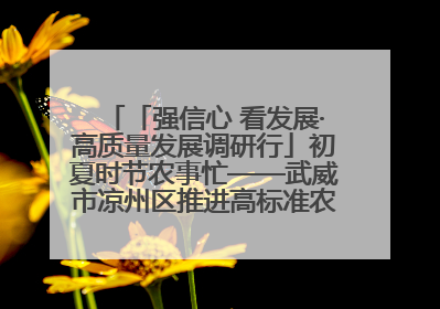 「强信心 看发展·高质量发展调研行」初夏时节农事忙——武威市凉州区推进高标准农田建设见闻