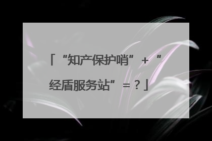 “知产保护哨”+“经盾服务站”=？