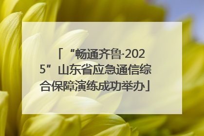 “畅通齐鲁·2025”山东省应急通信综合保障演练成功举办