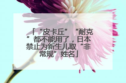 “皮卡丘”“耐克”都不能用了，日本禁止为新生儿取“非常规”姓名