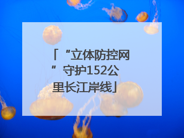 “立体防控网”守护152公里长江岸线