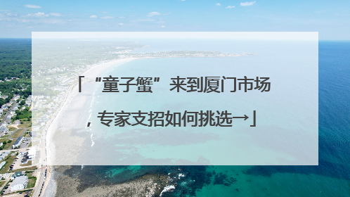 “童子蟹”来到厦门市场，专家支招如何挑选→