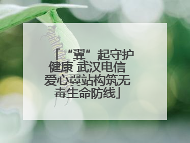 “翼”起守护健康 武汉电信爱心翼站构筑无毒生命防线