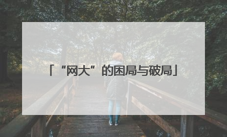“网大”的困局与破局