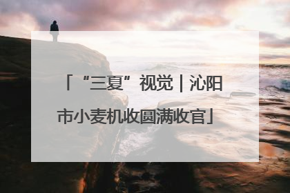 “三夏”视觉｜沁阳市小麦机收圆满收官