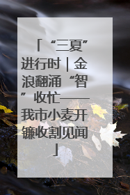 “三夏”进行时｜金浪翻涌“智”收忙——我市小麦开镰收割见闻