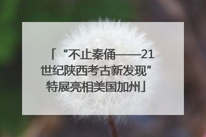 “不止秦俑——21世纪陕西考古新发现”特展亮相美国加州
