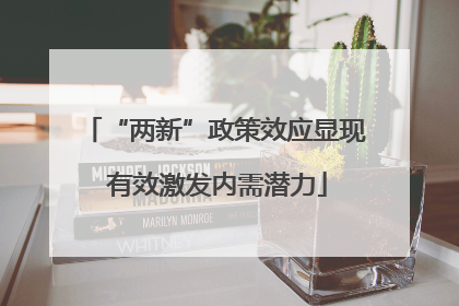 “两新”政策效应显现 有效激发内需潜力