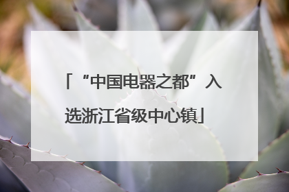 “中国电器之都”入选浙江省级中心镇