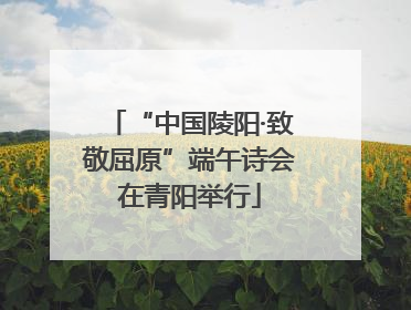 “中国陵阳·致敬屈原”端午诗会在青阳举行