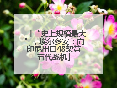“史上规模最大”，埃尔多安：向印尼出口48架第五代战机