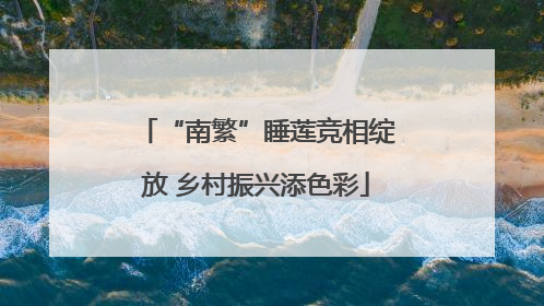 “南繁”睡莲竞相绽放 乡村振兴添色彩