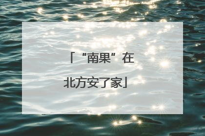 “南果”在北方安了家