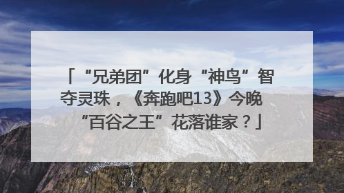“兄弟团”化身“神鸟”智夺灵珠，《奔跑吧13》今晚“百谷之王”花落谁家？