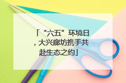 “六五”环境日，大兴廊坊携手共赴生态之约