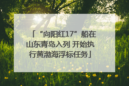 “向阳红17”船在山东青岛入列 开始执行黄渤海浮标任务