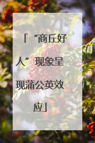 “商丘好人”现象呈现蒲公英效应