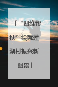 “四维帮扶”绘就莲湖村振兴新图景