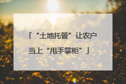 “土地托管”让农户当上“甩手掌柜”