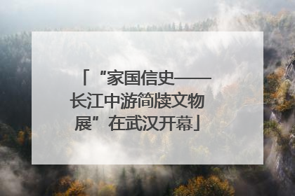 “家国信史——长江中游简牍文物展”在武汉开幕