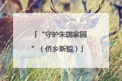 “守护朱鹮家园”（侨乡新貌）