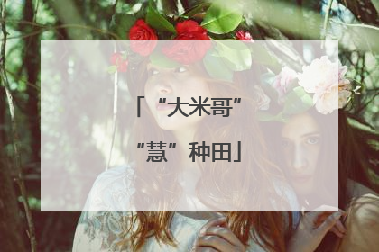 “大米哥”“慧”种田