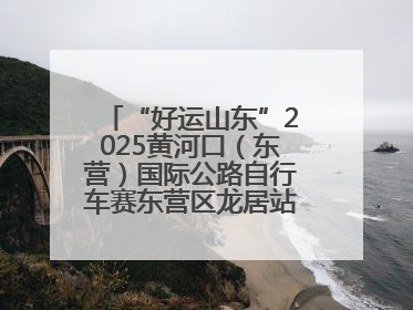 “好运山东”2025黄河口（东营）国际公路自行车赛东营区龙居站 完美“抄作业”，苦战最后时刻黄衫易主