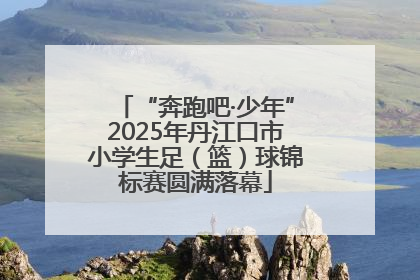 “奔跑吧·少年”2025年丹江口市小学生足（篮）球锦标赛圆满落幕