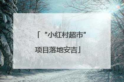 “小红村超市”项目落地安吉