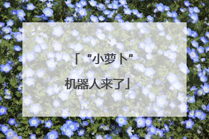 “小萝卜”机器人来了