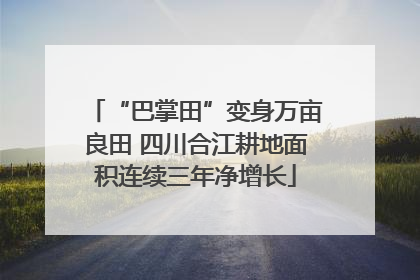 “巴掌田”变身万亩良田 四川合江耕地面积连续三年净增长