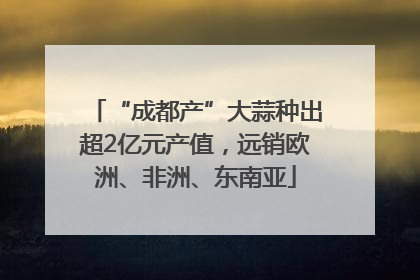 “成都产”大蒜种出超2亿元产值，远销欧洲、非洲、东南亚