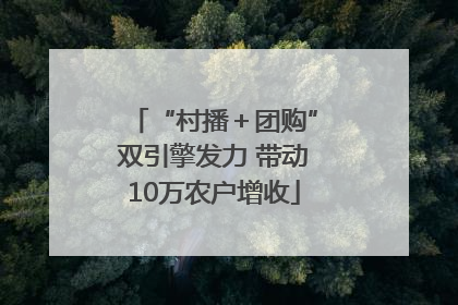 “村播＋团购”双引擎发力 带动10万农户增收