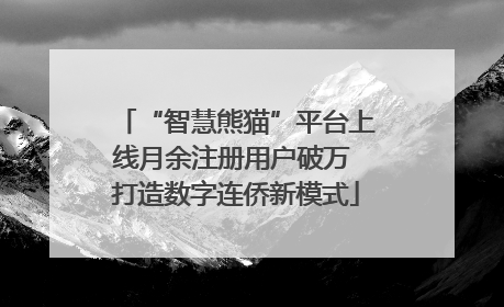 “智慧熊猫”平台上线月余注册用户破万 打造数字连侨新模式