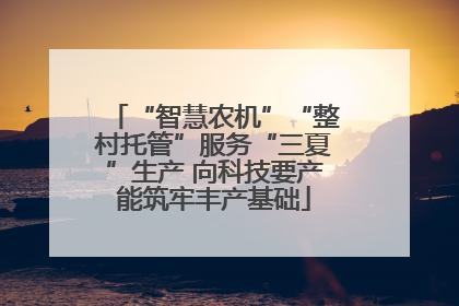 “智慧农机”“整村托管”服务“三夏”生产 向科技要产能筑牢丰产基础
