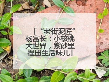“老街泥匠”杨富长：小核桃大世界，紫砂里捏出生活味儿