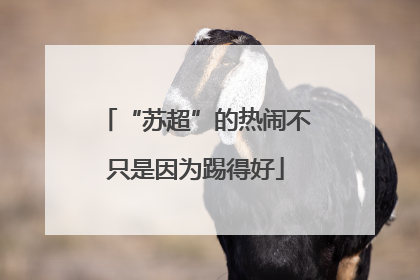 “苏超”的热闹不只是因为踢得好