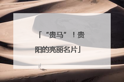 “贵马”！贵阳的亮丽名片