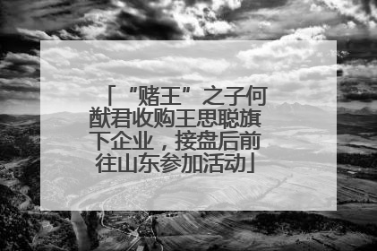 “赌王”之子何猷君收购王思聪旗下企业，接盘后前往山东参加活动