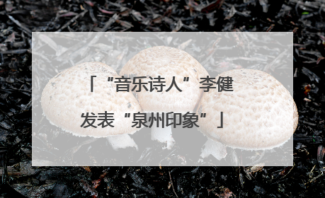 “音乐诗人”李健发表“泉州印象”