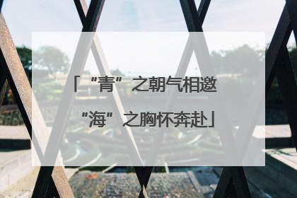 “青”之朝气相邀 “海”之胸怀奔赴
