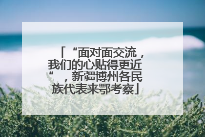 “面对面交流，我们的心贴得更近”，新疆博州各民族代表来鄂考察