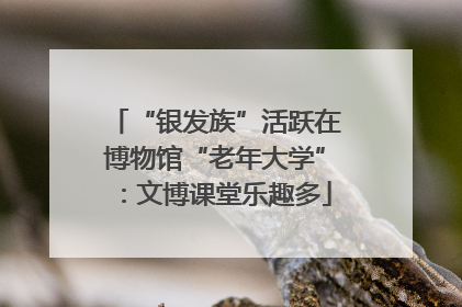 “银发族”活跃在博物馆“老年大学”：文博课堂乐趣多