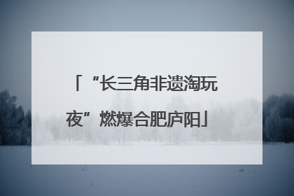 “长三角非遗淘玩夜”燃爆合肥庐阳